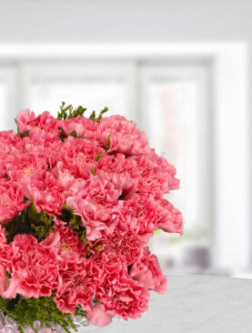 Carnations With Love