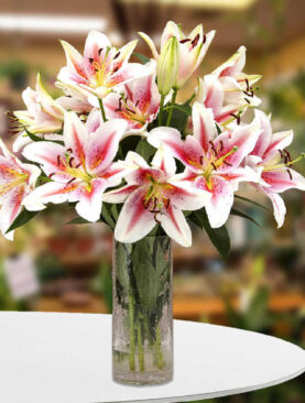 Flowery Lily Gems